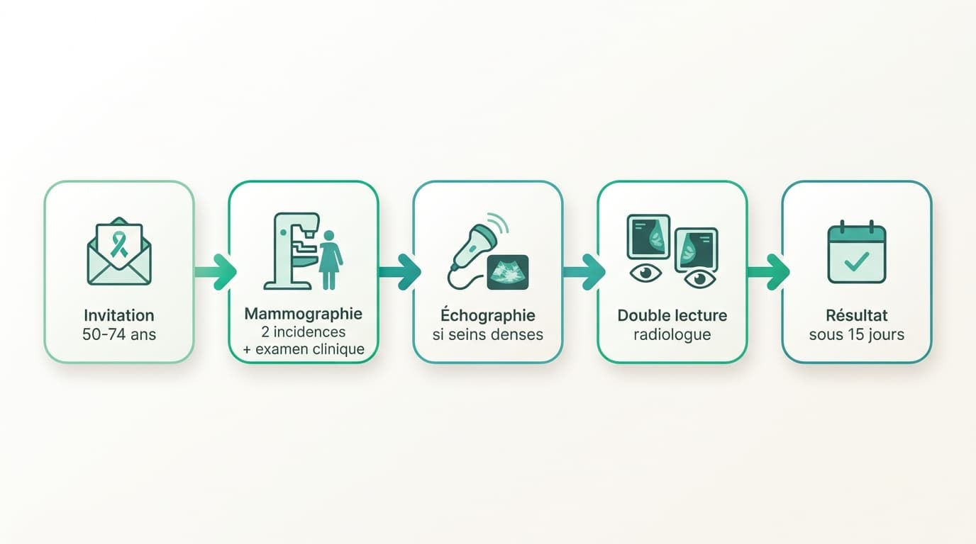 Dépistage du cancer du sein : la mammographie de 50 à 74 ans