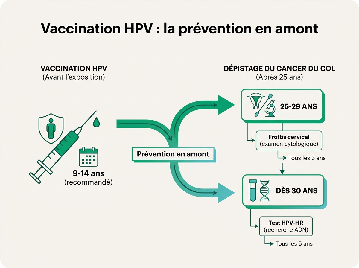 Schéma médical illustrant « Vaccination HPV : la prévention en amont »